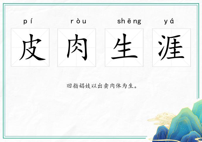 皮肉生涯