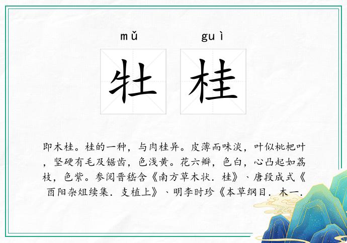牡桂