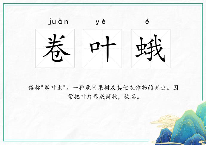 卷叶蛾