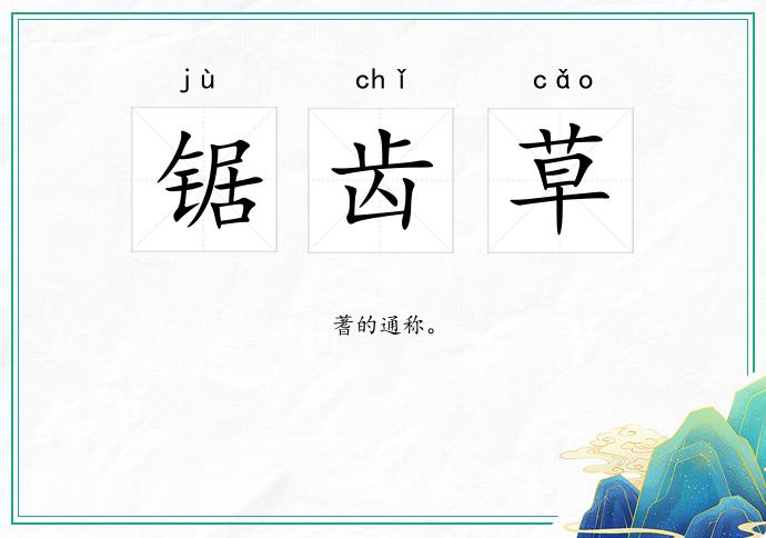 锯齿草