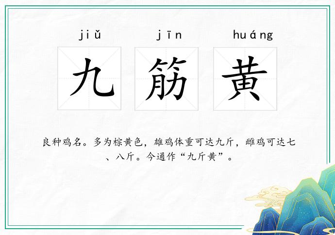 九筋黄