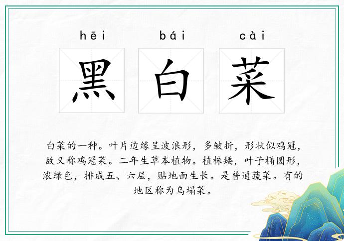 黑白菜