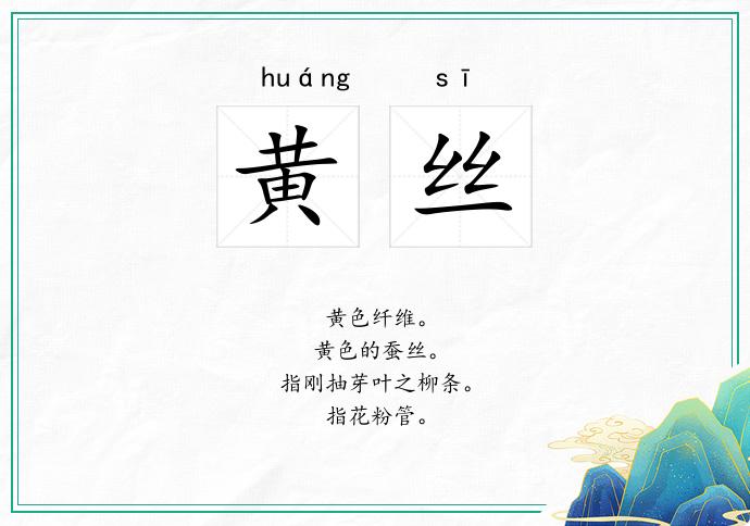 黄丝