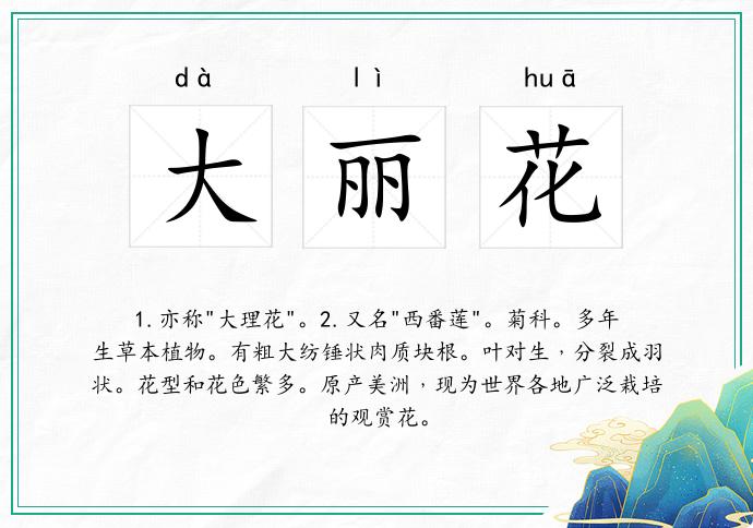 大丽花