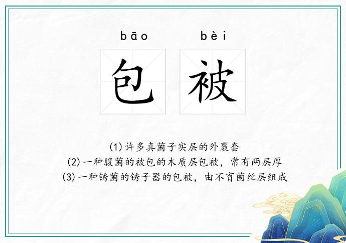 包被