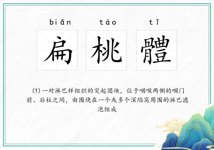 扁桃體