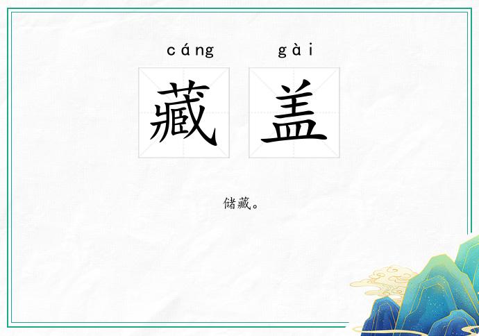 藏盖