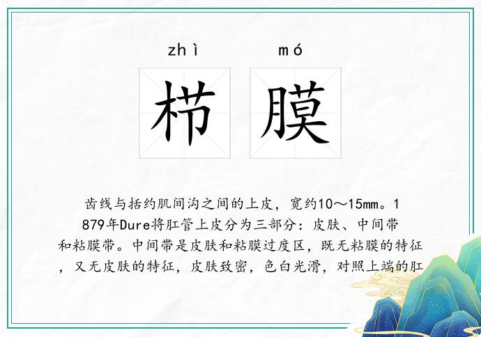栉膜