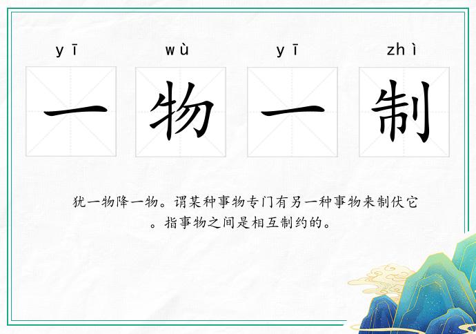 一物一制