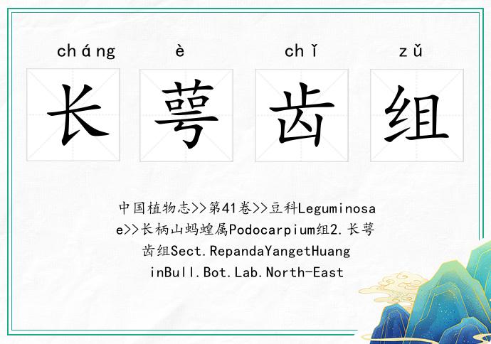 长萼齿组
