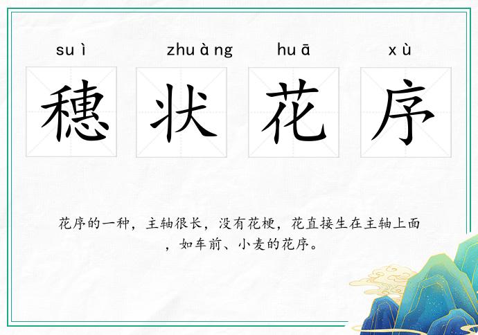 穗状花序