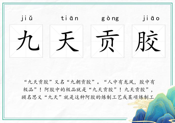 九天贡胶