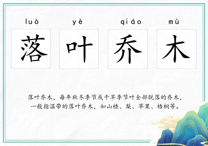 落叶乔木