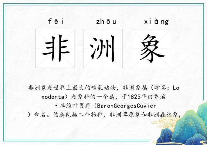 非洲象