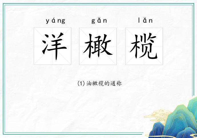 洋橄榄