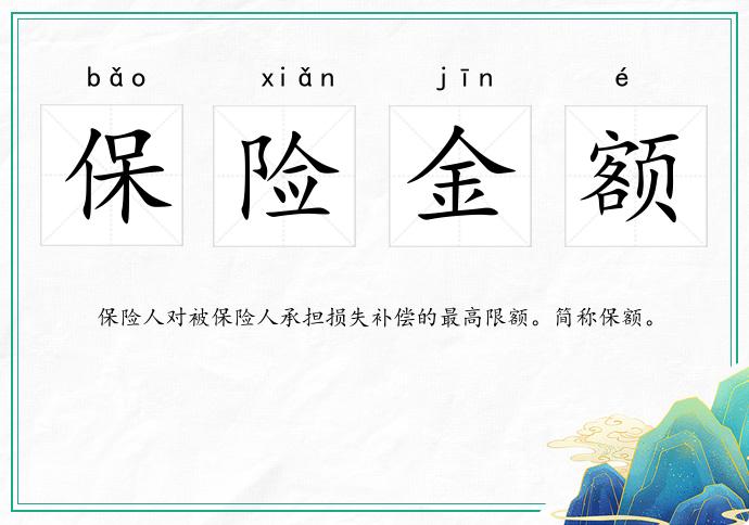 保险金额