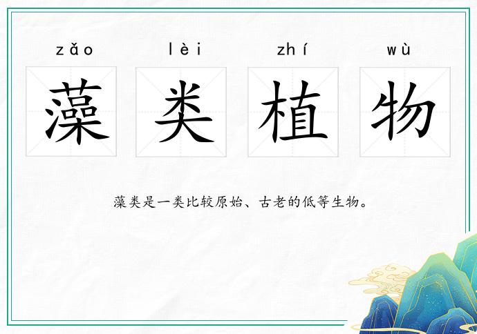 藻类植物