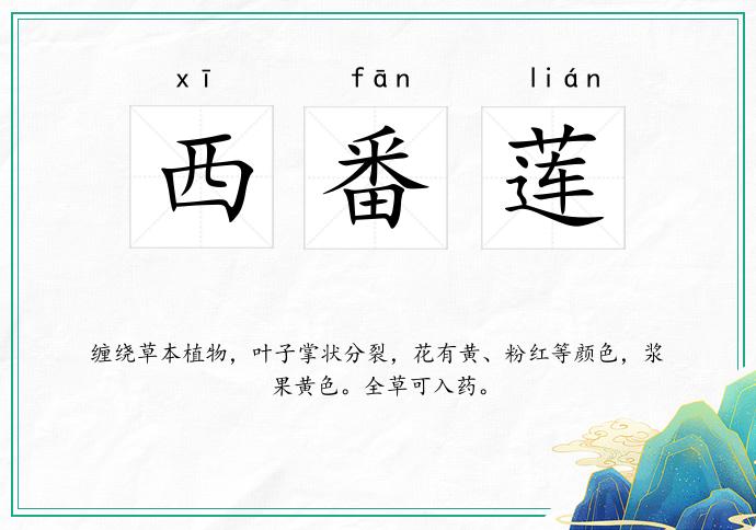 西番莲