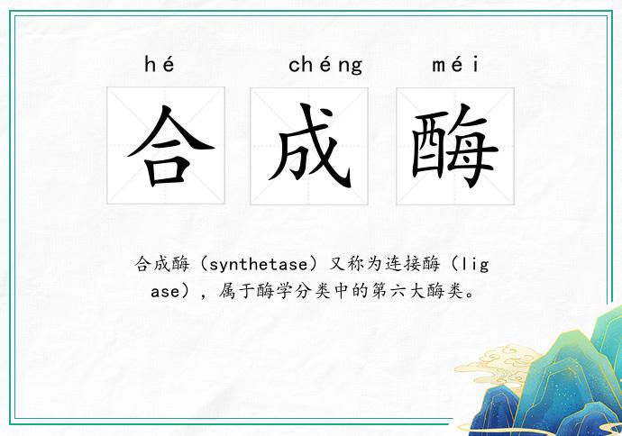 合成酶