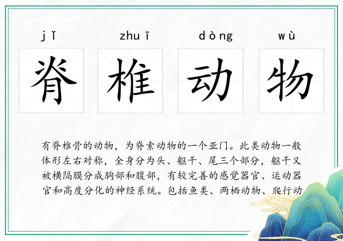 脊椎动物
