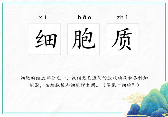 细胞质