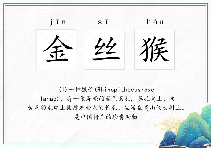 金丝猴