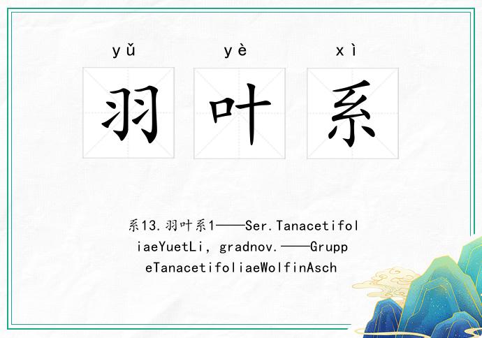 羽叶系