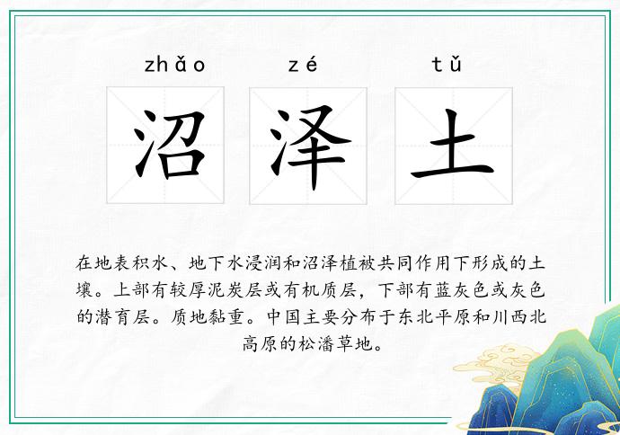 沼泽土