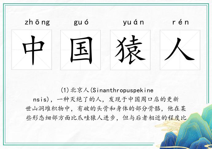 中国猿人