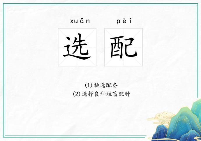 选配