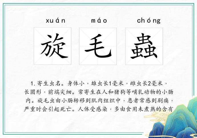 旋毛蟲