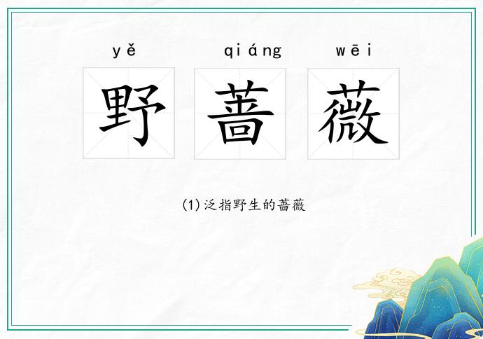 野蔷薇
