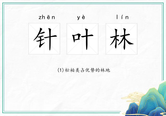 针叶林