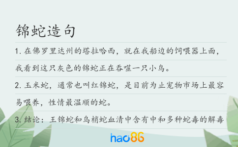 锦蛇造句