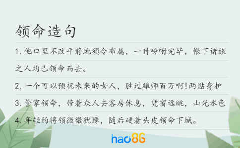 领命造句