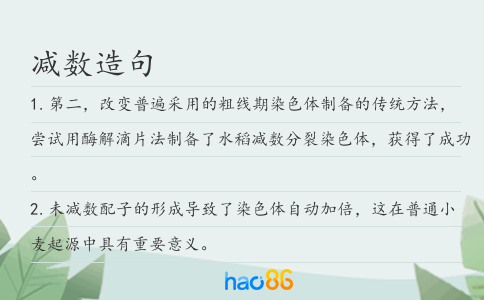 减数造句