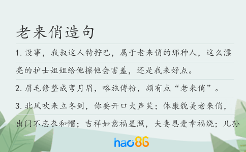 老来俏造句