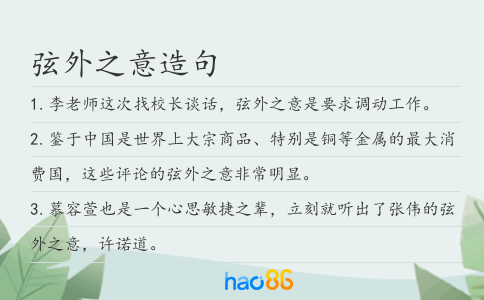 弦外之意造句
