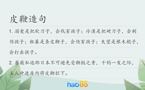 皮鞭造句