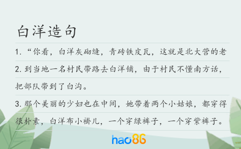 白洋造句