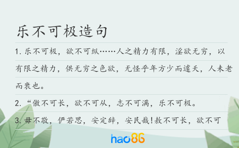 乐不可极造句