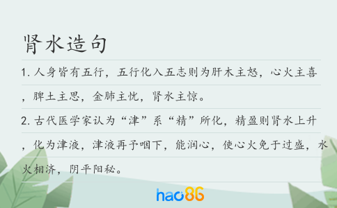 肾水造句