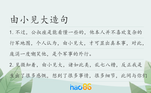 由小见大造句