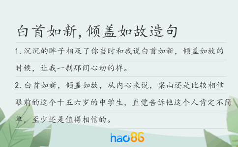 白首如新,倾盖如故造句