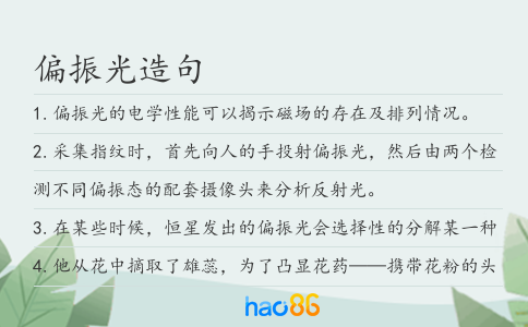 偏振光造句
