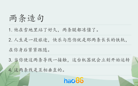 两条造句