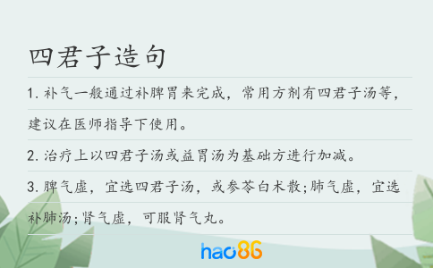四君子造句