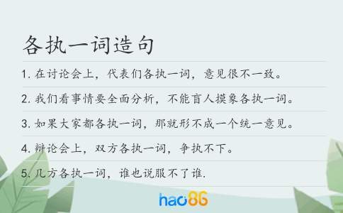各执一词造句