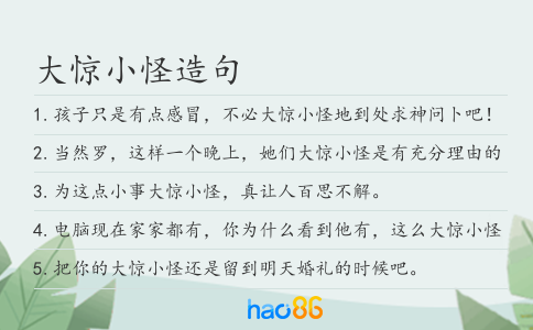 大惊小怪造句