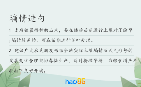 墒情造句